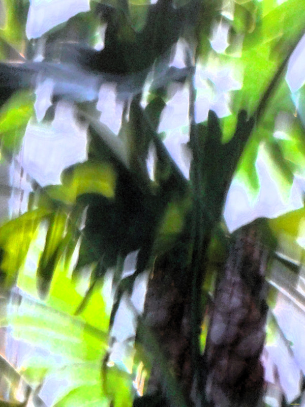 Salute by GERRY FELDMAN