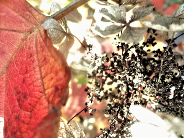 Sharing by GERRY FELDMAN, Image 1.