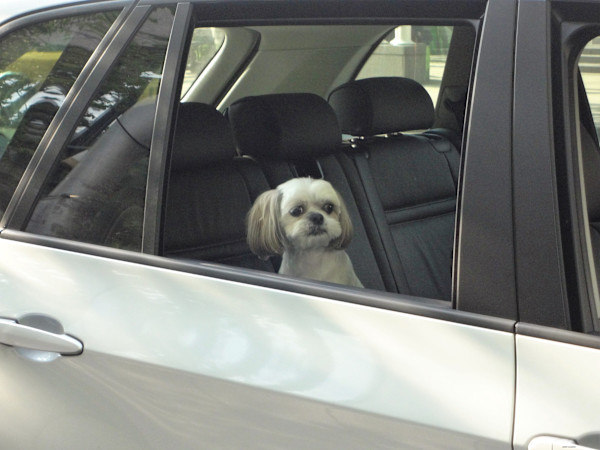 So Let Me Tell You by GERRY FELDMAN, Image 1.