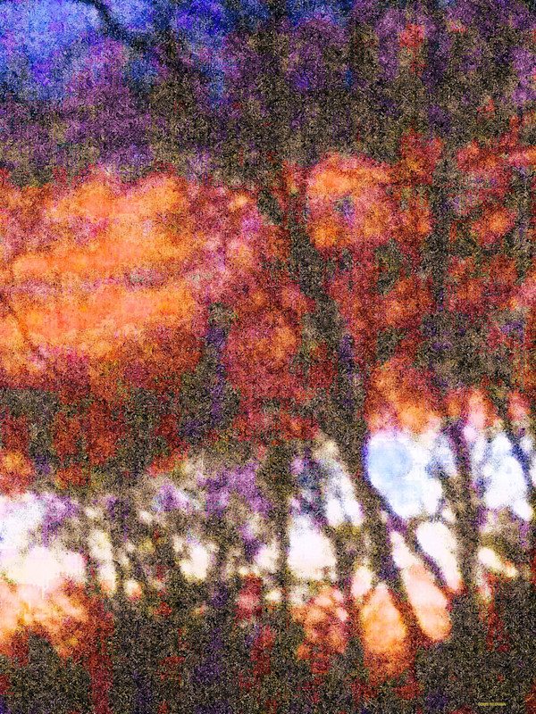 Tapestry by GERRY FELDMAN