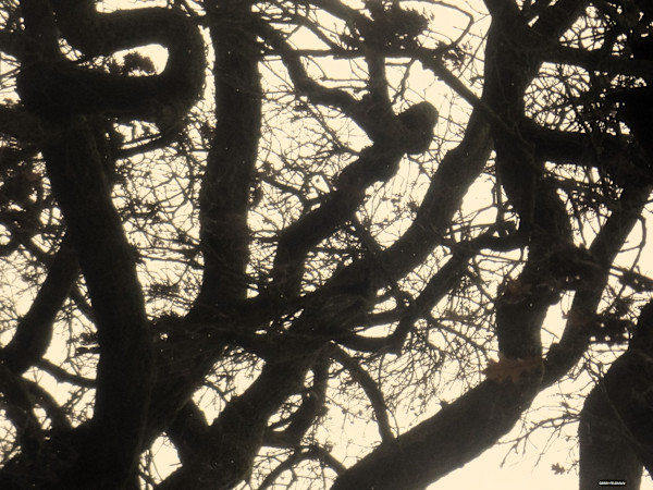 We're Coming by GERRY FELDMAN