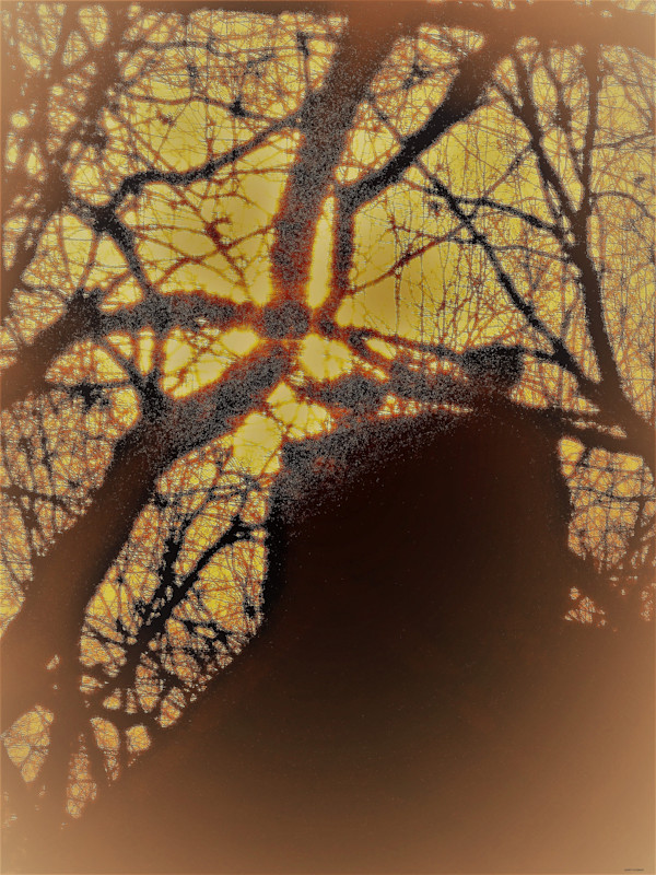 Web of Life by GERRY FELDMAN, Image 1.