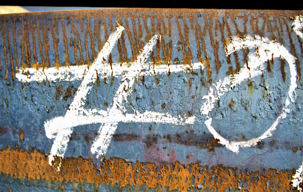 What the by GERRY FELDMAN