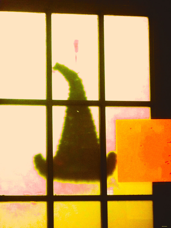 Witches Pointer by GERRY FELDMAN