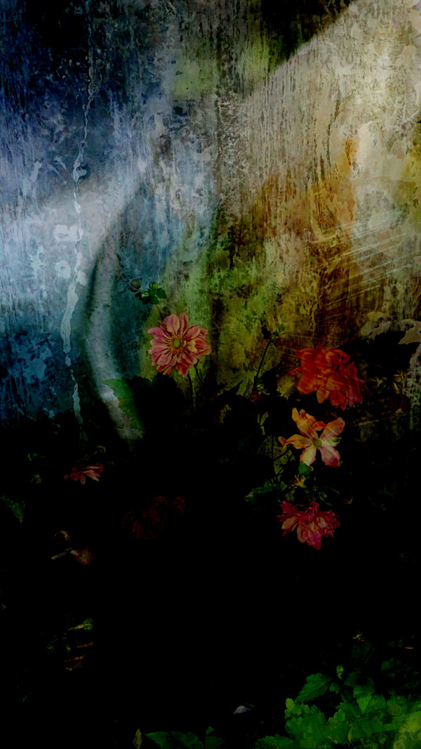 Union Bay Natural Area Overgrowth #18: Dancing with Ghosts by Neil Berkowitz, Image 1.