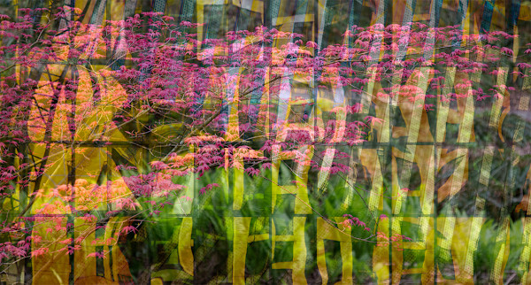 The Convergence of Here and There by Neil Berkowitz, Image 2.