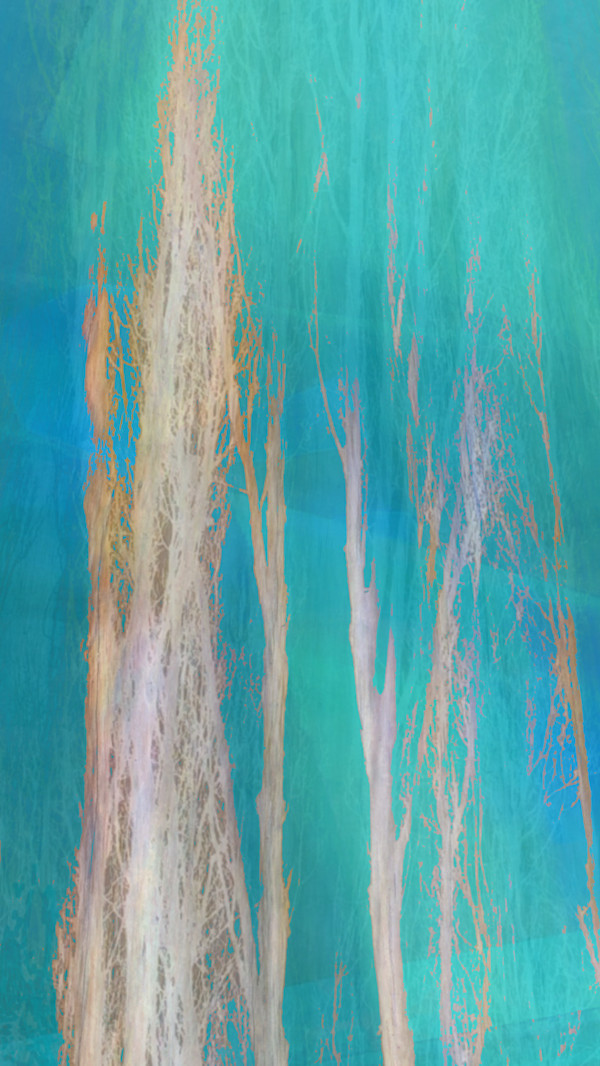 January Manifesto by Neil Berkowitz, Image 1.
