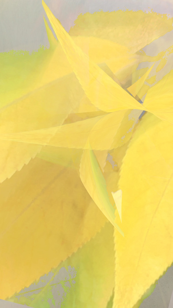 State of Change by Neil Berkowitz, Image 1.
