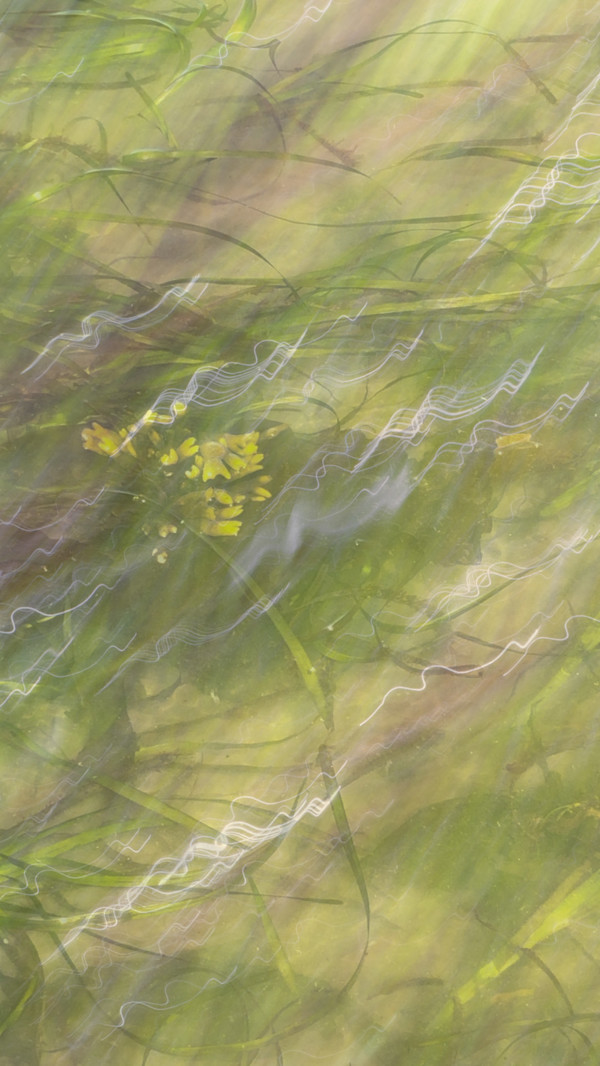 Wade in the Water by Neil Berkowitz, Image 1.