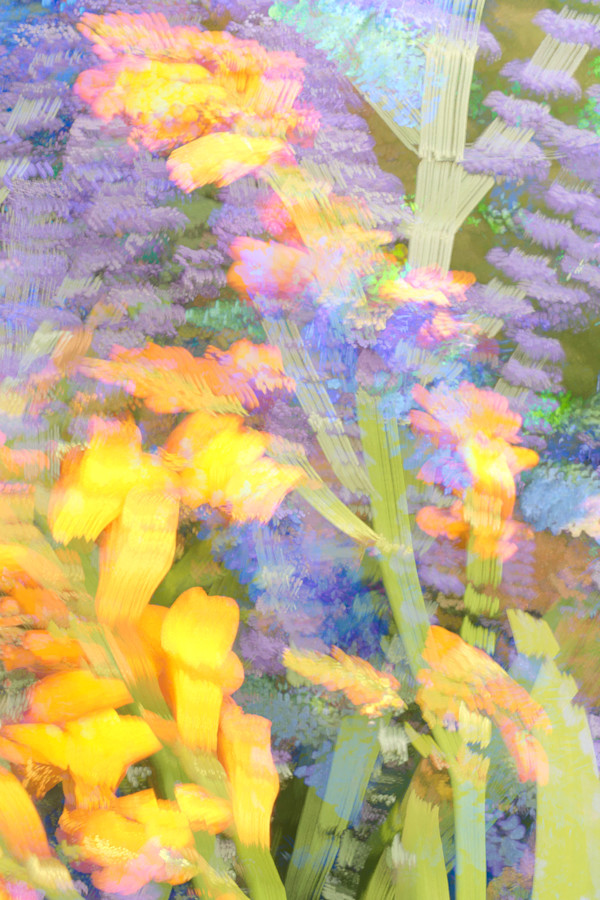 Ravenna Overgrowth #14: Yardwork by Neil Berkowitz, Image 1.