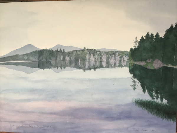 Barnum Lake-July-Paul Smiths