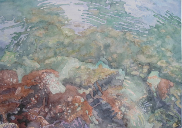 Bottom by Todd Stone, Image 1.