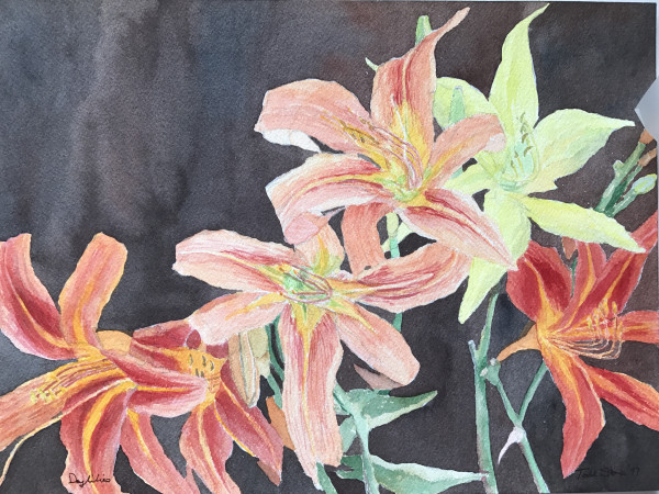 Daylilies