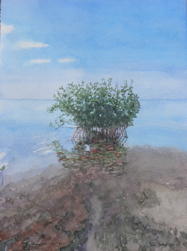 Mangrove Shell Key by Todd Stone