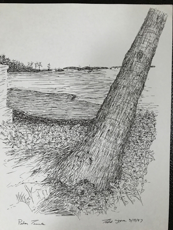 Palm Trunk by Todd Stone, Image 1.