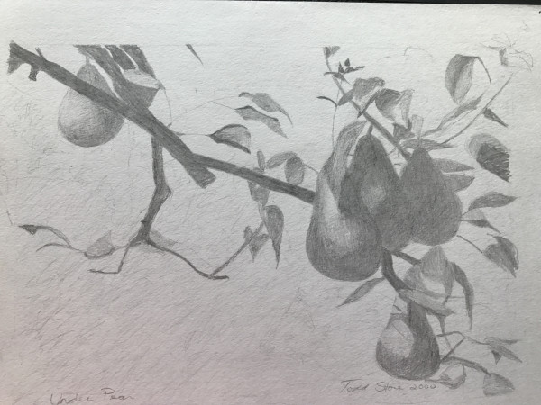 Under Pear