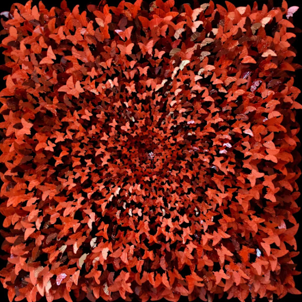 Full Sun Red by Joel Amit