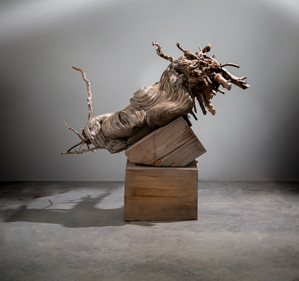 Limbs by Leslie S Fry, Image 1.