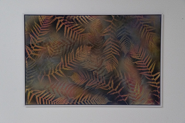 Ephemeral Poetries v4 by Tiffany Matos, Image 13.