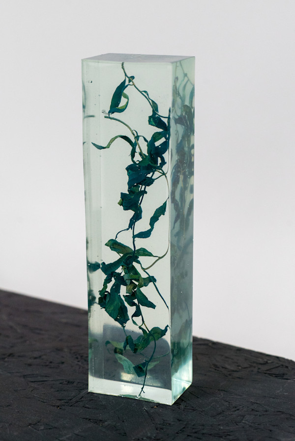 Ephemeral to Eternal v1 by Tiffany Matos, Image 1.