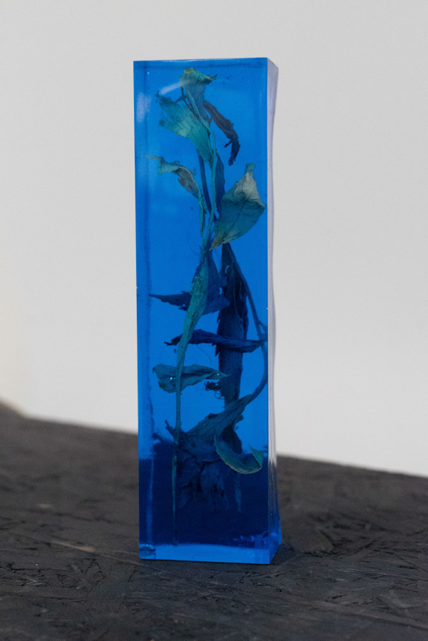Ephemeral to Eternal v2 by Tiffany Matos, Image 1.