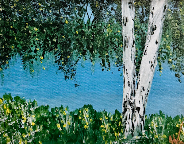 Growing Birch by J. Vadala, Image 1.