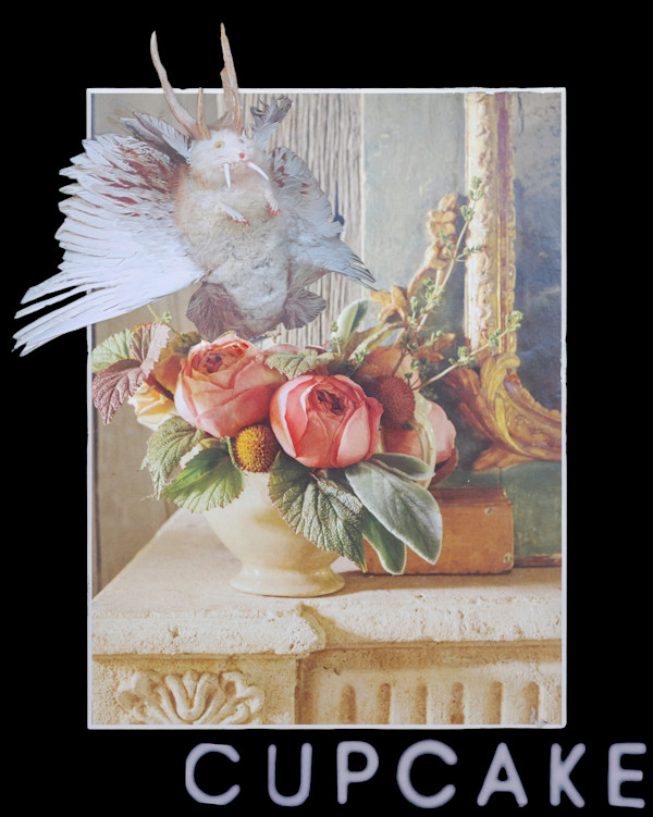 Cupcake by Danielle Blanchette, Image 1.