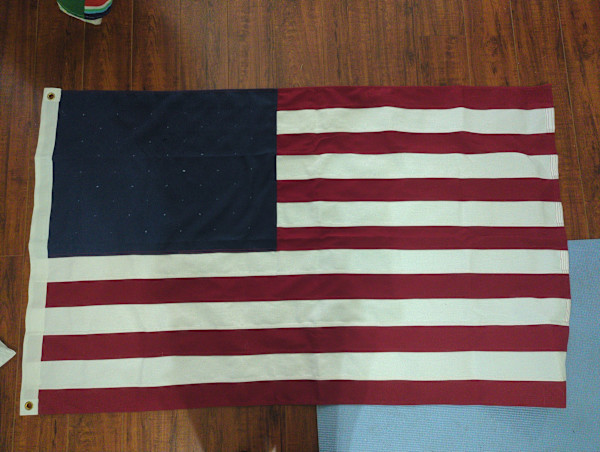 United States of Fascism by Danielle Blanchette, Image 1.