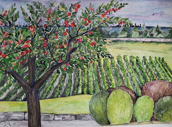 Apples by the Wine by Rajshree Jena