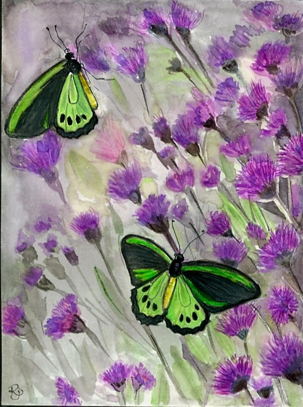 Butterfly-01 by Rajshree Jena