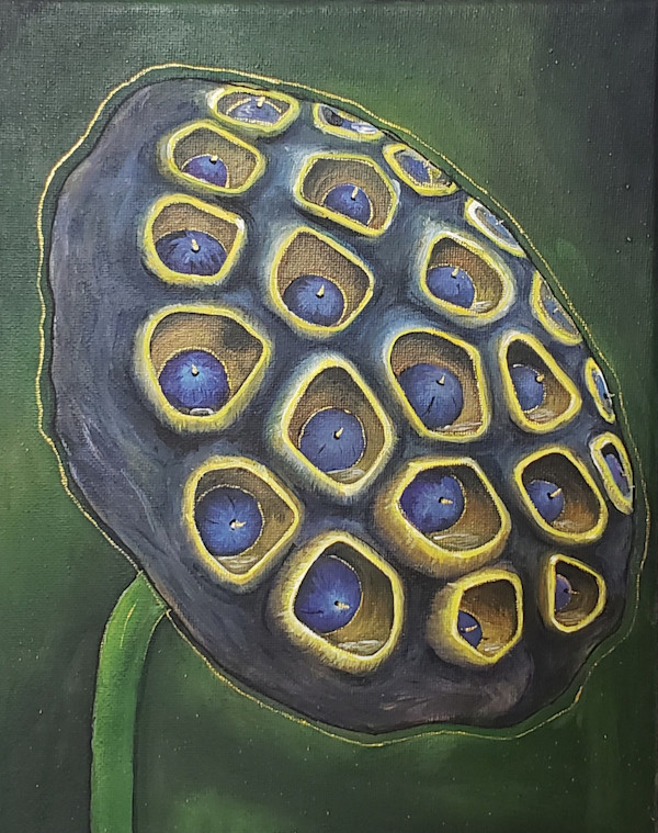 Lotus seed by Rajshree Jena