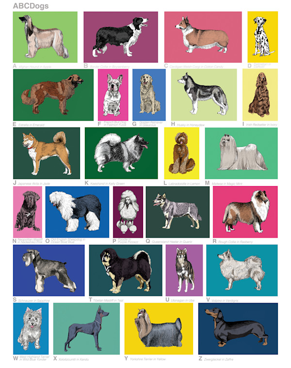 ABCDogs by Anna Walsh, Image 1.
