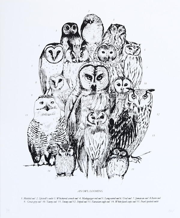 An Owl Looming by Anna Walsh, Image 1.