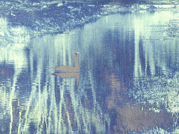 Cygnus Luminous by Anna Walsh, Image 1.