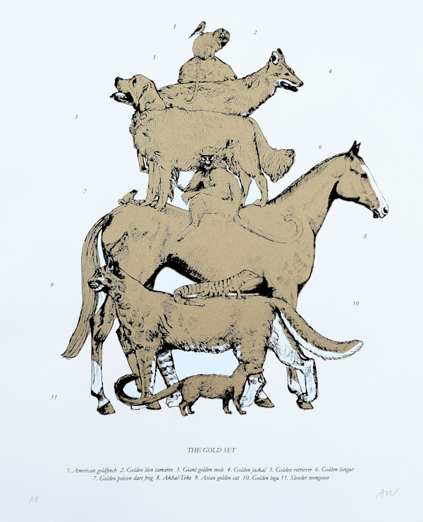 The Gold Set by Anna Walsh, Image 3.