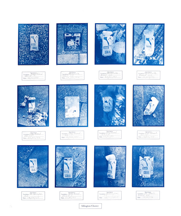 In Search of Cygnus - Islington Cluster by Anna Walsh, Image 1.
