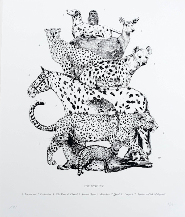 The Spot Set by Anna Walsh, Image 2.