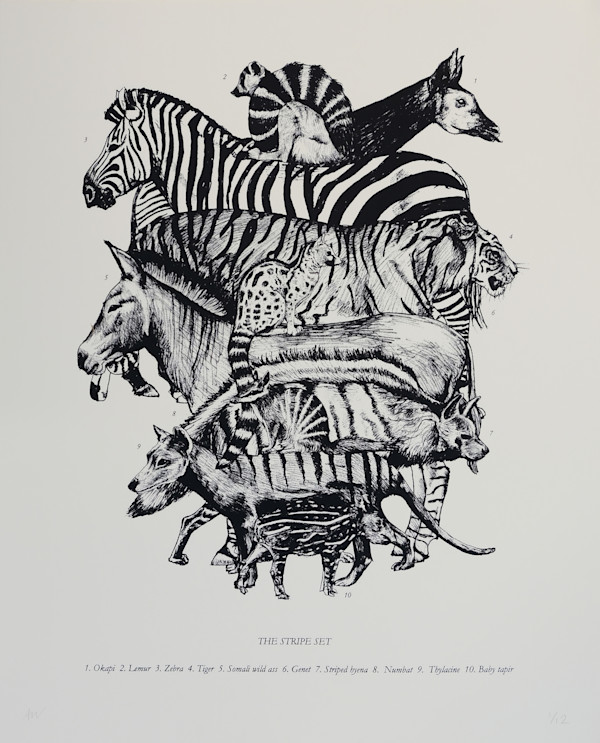 The Stripe Set by Anna Walsh, Image 1.