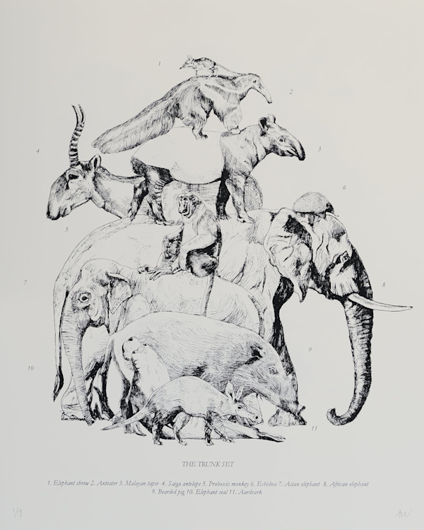 The Trunk Set by Anna Walsh, Image 1.