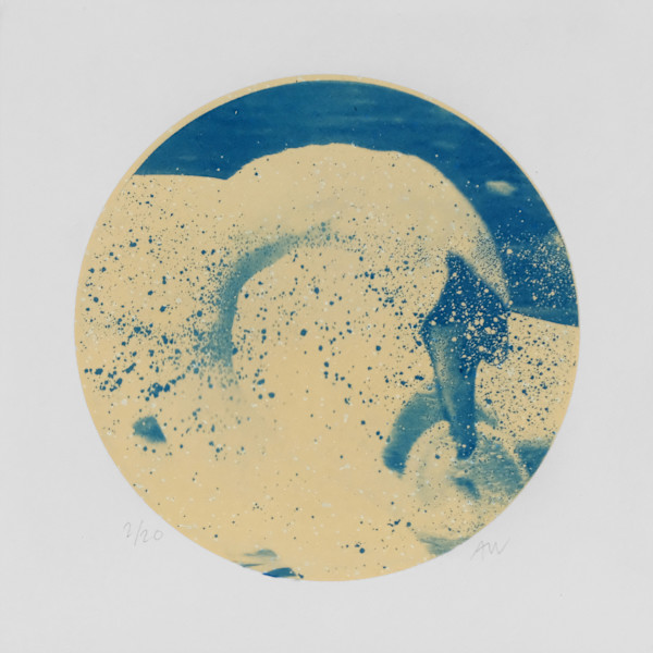 Alpha Cygni Variable B (Small) by Anna Walsh