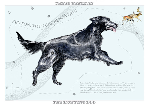 Canes Venatici (Hunting Dog) by Anna Walsh