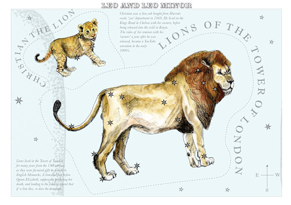 Leo and Leo Minor (Lion and Little Lion) by Anna Walsh, Image 12.