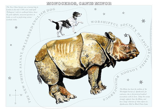 Monocerous and Canis minor (Unicorn and small dog) by Anna Walsh, Image 11.