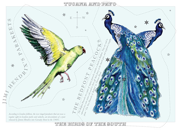 Tucana and Pavo (Toucan and Peacock) by Anna Walsh, Image 6.