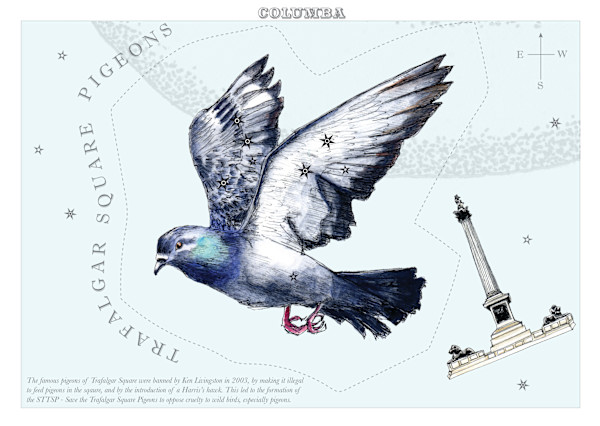 Columba (Dove) by Anna Walsh, Image 8.