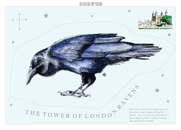Corvus (Crow) by Anna Walsh, Image 5.