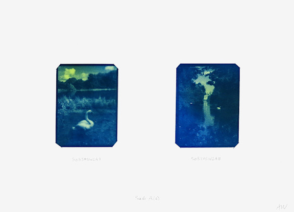 Cygnus Suite -Sadr A (4) by Anna Walsh, Image 1.