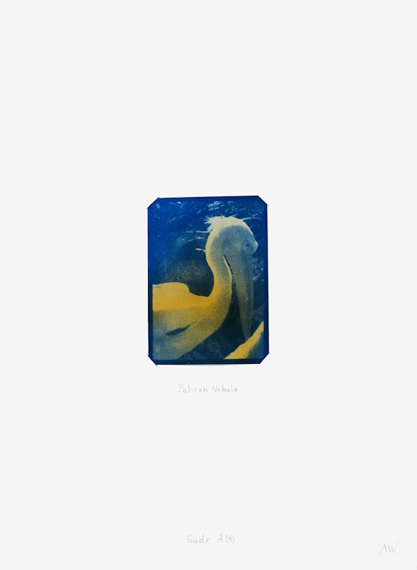 Cygnus Suite -Sadr A (9) by Anna Walsh, Image 1.