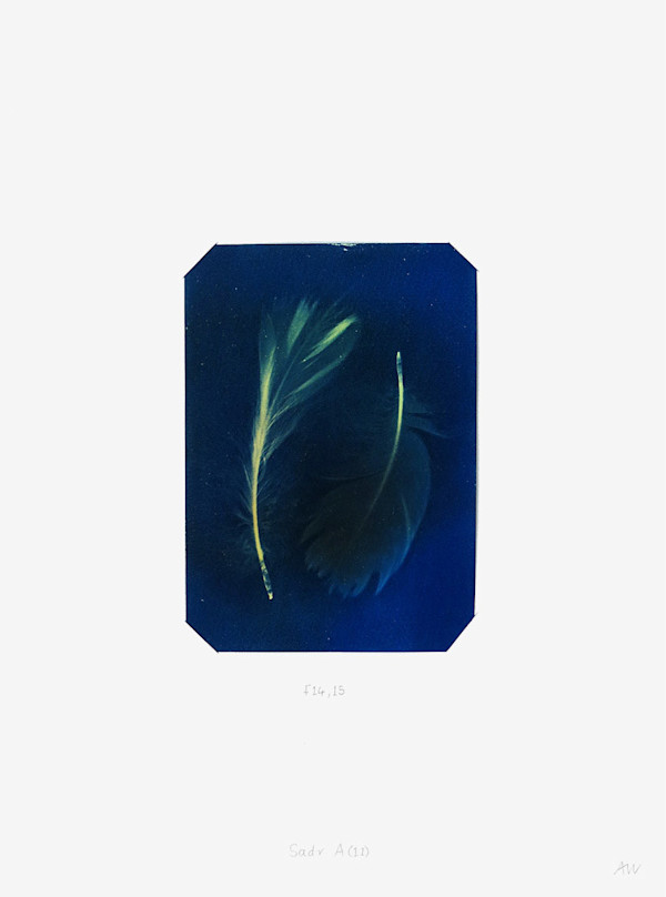 Cygnus Suite - Sadr A (11) by Anna Walsh, Image 1.
