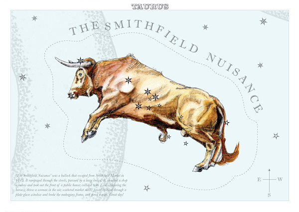 Taurus (Bull) by Anna Walsh, Image 3.
